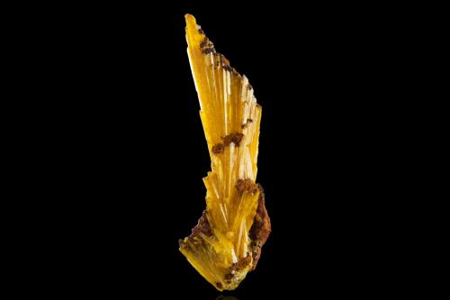 Legrandite<br />Ojuela Mine, Mapimí, Municipio Mapimí, Durango, Mexico<br />3 x 1 x 8.5 cm / main crystal: 7.5 cm<br /> (Author: MIM Museum)