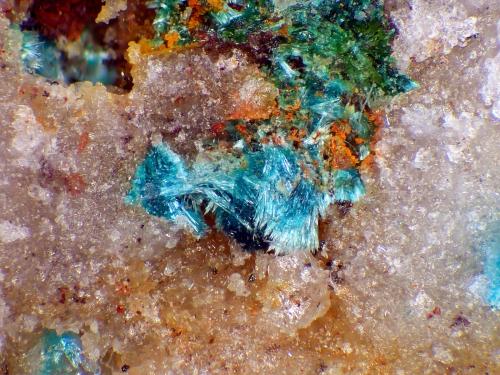 Rosasita<br />Santa Bárbara Mine, San José, Níjar, Comarca Metropolitana de Almería, Almería, Andalusia, Spain<br />Campo de visión 4 mm.<br /> (Autor: Antonio P. López)