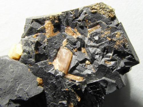 Galena<br />Mina Eugenia, Bellmunt del Priorat, Comarca Priorat, Tarragona, Cataluña / Catalunya, España<br />C.V. 2,2 x 1,35 cm<br /> (Autor: Frederic Varela)