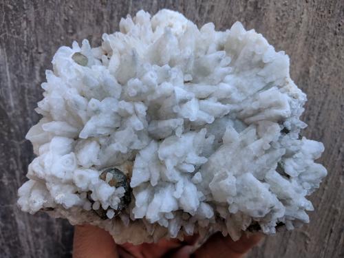 Calcita, Pirita<br />Bellmunt del Priorat, Comarca Priorat, Tarragona, Cataluña / Catalunya, España<br />12,0 x 11,0 x 4,0 cm<br /> (Autor: carles)