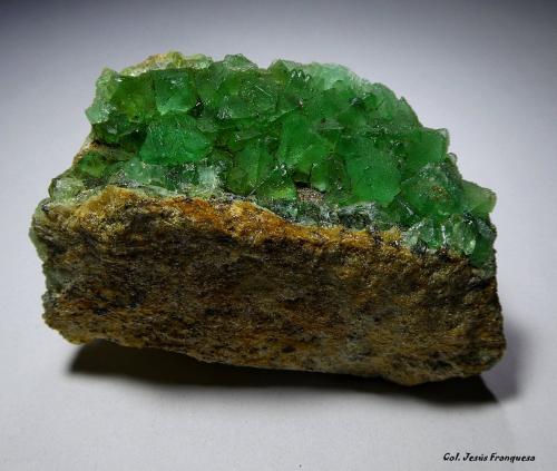 Fluorita.<br />Pedrera Berta, Turó Can Domènech, Serra Roques Blanques, Sant Cugat del Vallès-El Papiol, Comarca Vallès Occidental / Baix Llobregat, Barcelona, Cataluña / Catalunya, España<br />59x49 mm.<br /> (Autor: Jesus Franquesa Baucells)