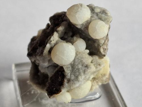 Calcite and Clinoptilolite-Ca<br />Volcán Cabezo Negro de Zeneta, Murcia, Comarca Huerta de Murcia, Región de Murcia (Murcia), España<br />2,5 x 2 cm<br /> (Author: Volkmar Stingl)