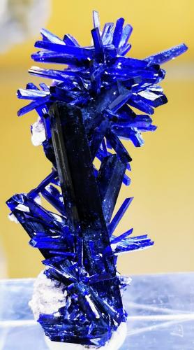 Azurite<br />Kerrouchen, Provincia Khénifra, Región Beni Mellal-Khenifra, Marruecos<br />2cmx3,5cm<br /> (Author: Enrique Llorens)