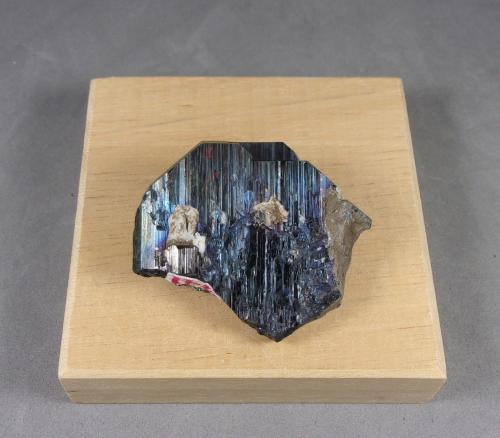 Tantalita-(Mn)<br />Skardu District, Gilgit-Baltistan (Northern Areas), Pakistan<br />3,7 x 3,2 x 0,8 cm.,  29,82 g.<br /> (Autor: J. G. Alcolea)