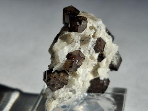 Grossular<br />Sierra de las Cruces, Sierra Mojada mining district, Municipio Sierra Mojada, Coahuila (Coahuila de Zaragoza), Mexico<br />2,5 x 2,5 cm<br /> (Author: Volkmar Stingl)