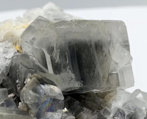 Dolomita<br />Cantera Azcárate (Azkarate), Eugui, Esteríbar, Comarca Auñamendi, Comunidad Foral de Navarra (Navarra), España<br />12x9 cm<br /> (Autor: AntonioJesus)