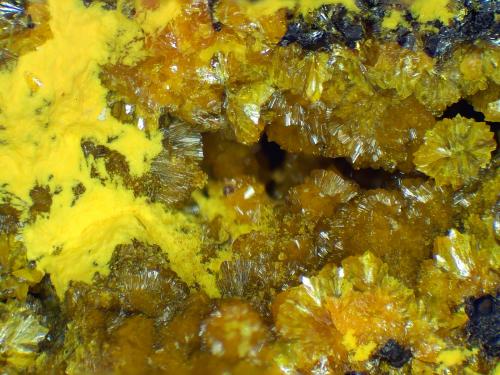 Curienita, Francevillita<br />Mina Mounana, Franceville, Provincia Haut-Ogooué, Gabón<br />Campo de visión 7 mm.<br /> (Autor: Antonio P. López)