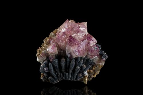 Adamite (variety Mn-bearing Adamite) with Pyrolusite<br />Mina Ojuela, Mapimí, Municipio Mapimí, Durango, México<br />5.5 x 4 x 5 cm / main crystal: 1.9 cm<br /> (Author: MIM Museum)