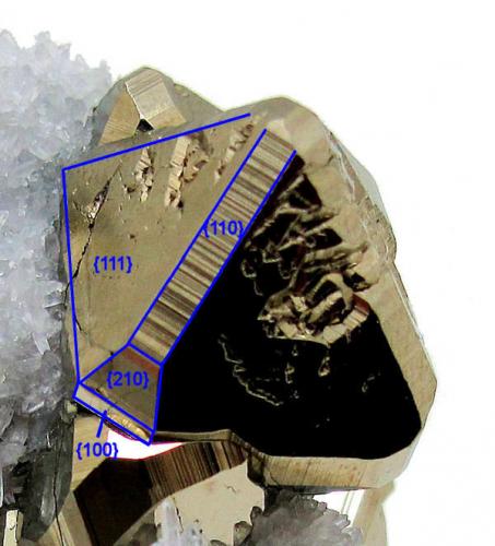 Pirita, Cuarzo<br />Huanzala Mine, Huallanca District, Dos de Mayo Province, Huánuco Department, Peru<br />61 mm x 41 mm. Cristal principal: 20 mm. Masa: 125 g<br /> (Autor: Carles Millan)