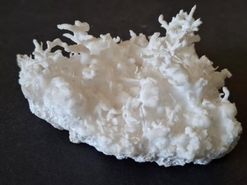 Aragonite (variety flos ferri)<br />Erzberg, Eisenerz (Steiermark), Leoben District, Styria/Steiermark, Austria<br />9,5 x 6 cm<br /> (Author: Volkmar Stingl)
