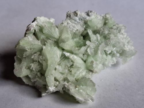 Talc<br />Fellergraben, Zederhaus, Zederhaustal, Tamsweg District, Tamsweg, Salzburg, Austria<br />5,5 x 3,5 cm<br /> (Author: Volkmar Stingl)