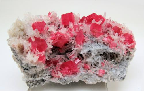 Rhodochrosite, Quartz<br />Mina Sweet Home, Hedgehog pocket, desvío realce principal, Monte Bross, Distrito Alma, Condado Park, Colorado, USA<br />91mm x 57 mm x 45 mm - Main crystal: 10 mm on edge - Mass: 254<br /> (Author: Carles Millan)