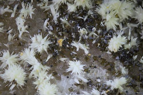 Piromorfita y mottramita<br />Cerro Colorado, Rodalquilar, Níjar, Comarca Metropolitana de Almería, Almería, Andalusia, Spain<br />Campo de visión de  3 mm.<br /> (Autor: Antonio Carmona)