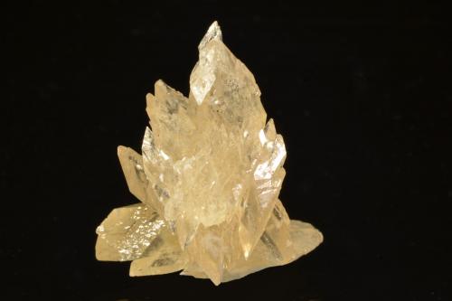 Calcite<br />Mina Wessels, Hotazel, Kalahari manganese field (KMF), Provincia Septentrional del Cabo, Sudáfrica<br />2.2 x 1.8 cm<br /> (Author: Michael Shaw)