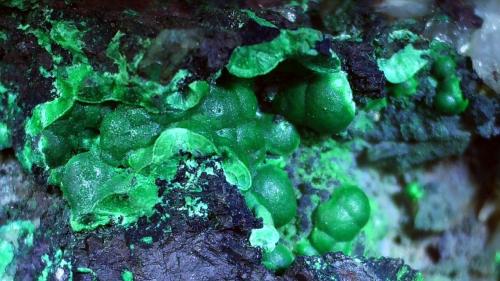 Malachite<br />Wheal Phoenix, Phoenix United Mine, Minions, Linkinhorne, Liskeard District, Cornwall, England / United Kingdom<br />c. 2 x 1,2 cm<br /> (Author: Volkmar Stingl)