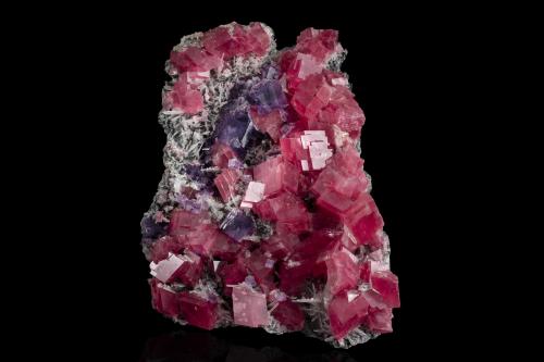 Rodocrosita en Cuarzo y con Fluorita<br />Mina Sweet Home, Strawberry pocket, Monte Bross, Distrito Alma, Condado Park, Colorado, USA<br />16 x 11 x 7.5 cm / Cristal principal: 2.5 cm<br /> (Autor: Museo MIM)