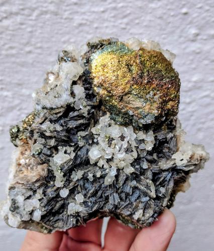 Arsenopirita, Pirita, Moscovita, Cuarzo<br />Minas da Panasqueira, Aldeia de São Francisco de Assis, Covilhã, Castelo Branco, Cova da Beira, Región Centro, Portugal<br />9,8 x 8,0 x 6,3 cm<br /> (Autor: carles)