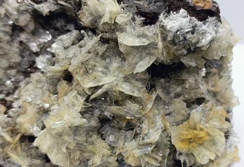 Barita.<br />Mina Haití, Cabezo de San Ginés, San Ginés de la Jara, Cartagena, Comarca Campo de Cartagena, Región de Murcia (Murcia), España<br />11x7 cm<br /> (Autor: AntonioJesus)