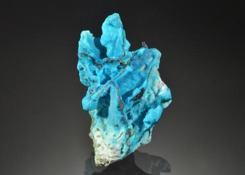 Chrysocolla on Copper<br />Islas Obi, Provincia North Maluku, Indonesia<br />3.0 x 1.8 cm<br /> (Author: Michael Shaw)