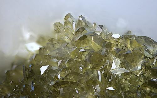 Anapaíta<br />Bellver de Cerdanya, Comarca Cerdanya, Lérida / Lleida, Cataluña / Catalunya, España<br />Campo de visión de  3 mm.<br /> (Autor: Antonio Carmona)