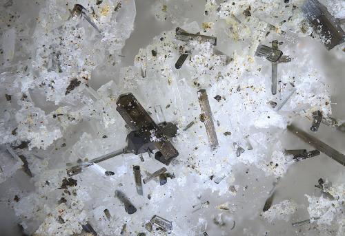 Turmalina<br />Yacimiento Trascastillo, Trascastillo, Cártama, Comarca Valle del Guadalhorce, Málaga, Andalucía, España<br />Campo de visión de  2 mm.<br /> (Autor: Antonio Carmona)