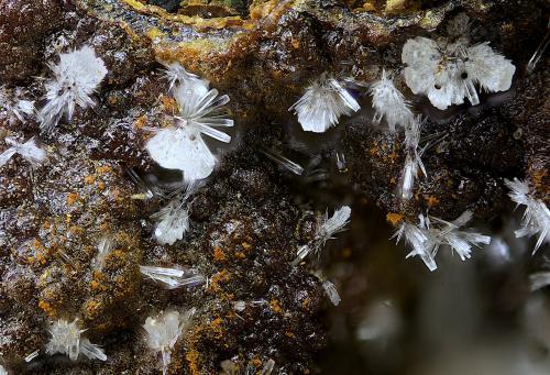 Fluorapatito<br />Mina Elvira, Rocabruna, Bruguers, Gavà, Comarca Baix Llobregat, Barcelona, Cataluña / Catalunya, España<br />Campo de visión de  3 mm.<br /> (Autor: Antonio Carmona)