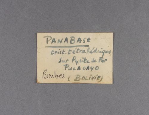 _Otra etiqueta de la Tetraedrita<br />Pulacayo Mine, Huanchaca, Antonio Quijarro Province, Potosí Department, Bolivia<br /><br /> (Autor: J. G. Alcolea)