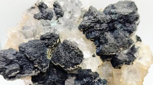 Esfalerita con Fluorita transparente.<br />(antes Cumberland), Cumbria, Inglaterra / Reino Unido<br />12x9 cm<br /> (Autor: AntonioJesus)