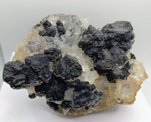 Esfalerita con Fluorita transparente.<br />(antes Cumberland), Cumbria, Inglaterra / Reino Unido<br />12x9 cm.<br /> (Autor: AntonioJesus)