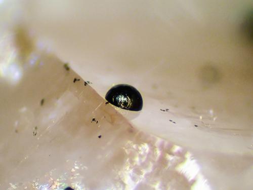 Pseudomalaquita, Cuarzo<br />Grupo Minero San Nicolás (Mina San Nicolás), Valle de la Serena, Comarca La Serena, Badajoz, Extremadura, España<br />Cristal de 1 mm.<br /> (Autor: Antonio P. López)