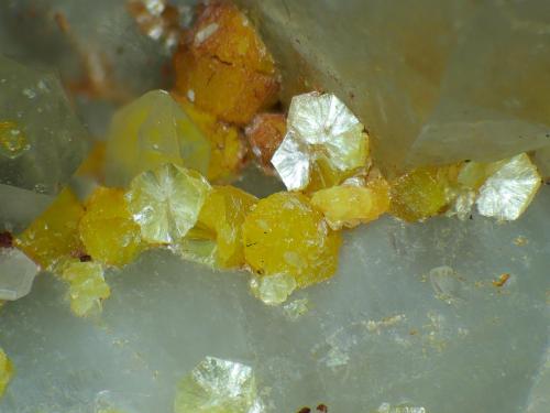 Moscovita, Cuarzo<br />Grupo Minero San Nicolás (Mina San Nicolás), Valle de la Serena, Comarca La Serena, Badajoz, Extremadura, España<br />Campo de visión 4 mm.<br /> (Autor: Antonio P. López)