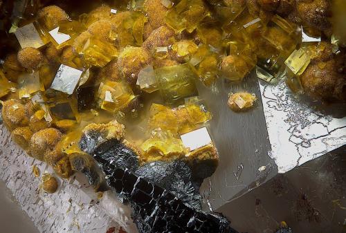 Grupo de la farmacosiderita<br />Permiso de Investigación Nicolasita, Hortales, Dos Torres, Comarca Los Pedroches, Córdoba, Andalucía, España<br />Campo de visión de  1 mm.<br /> (Autor: Antonio Carmona)