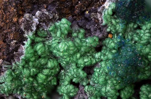 Conicalcita, Cornwallita y azurita<br />Mina Previsión, Barranco de los Cocones, Fiñana, Comarca Los Filabres-Tabernas, Almería, Andalucía, España<br />Campo de visión de  3 mm.<br /> (Autor: Antonio Carmona)