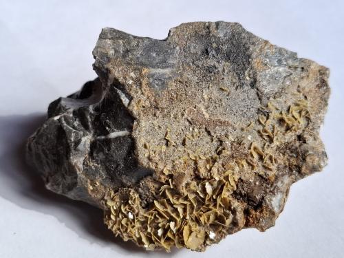 Wulfenite<br />Mina Oneta, Valle Riso, Provincia Bergamo, Lombardía/Lombardia, Italia<br />11 x 7 cm<br /> (Author: Volkmar Stingl)