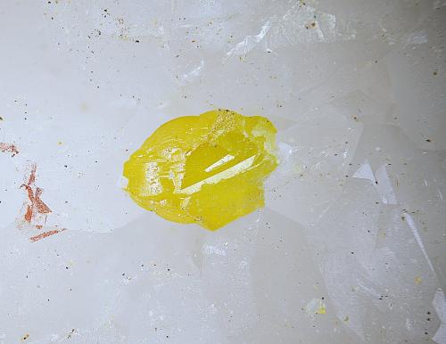 Mimetita<br />Mina Los Ángeles, Cumbres de Pedro Amigo, Peroamigo, El Castillo de las Guardas, Comarca El Corredor de la Plata, Sevilla, Andalucía, España<br />Campo de visión de  3 mm.<br /> (Autor: Antonio Carmona)