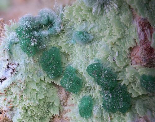Goldhillita, crisocola y olivenita<br />Mina Trípoli, Barranco del Cura, Huércal de Almería, Comarca Metropolitana de Almería, Almería, Andalucía, España<br />Campo de visión de  3 mm.<br /> (Autor: Antonio Carmona)