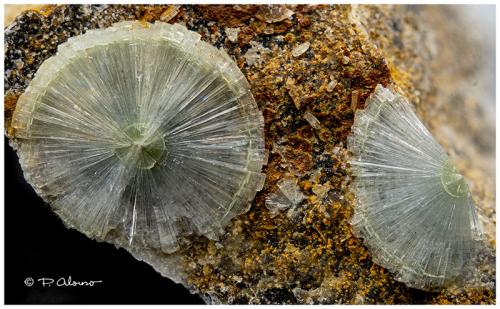 Wavellita<br />Avant, Condado Garland, Arkansas, USA<br />7 mm<br /> (Autor: Pere Alonso)