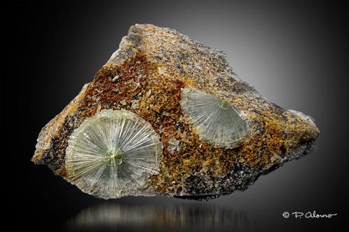 Wavellita<br />Avant, Condado Garland, Arkansas, USA<br />2 cm x 1,7 cm x 1 cm<br /> (Autor: Pere Alonso)