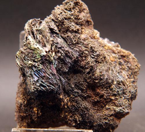 Goethita<br />Mina El Sabinar Segundo, Loma del Sabinar, San Vicente del Raspeig/Sant Vicent del Raspeig - Muchamiel/Mutxamel, Comarca Campo de Alicante, Alicante / Alacant, Comunidad Valenciana / Comunitat Valenciana, España<br />7.5 x 6 cm<br /> (Autor: Pedro Antonio)