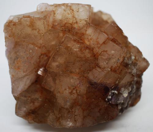 Fluorita<br />Encantada Mine, La Encantada, Municipio Melchor Múzquiz, Coahuila (Coahuila de Zaragoza), Mexico<br />70x60x55 mm.<br /> (Autor: Luis Edmundo Sánchez Roja)