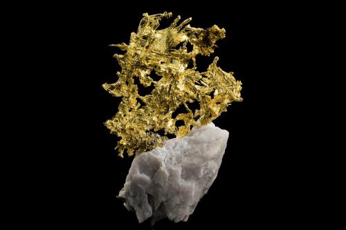 Oro con Cuarzo<br />Mina Eagle's Nest, Colina Sage, Distrito Michigan Bluff, Condado Placer, California, USA<br />6 x 3.5 x 9.5 cm<br /> (Autor: Museo MIM)