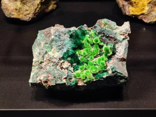 Cuprosklodowskita<br />Mina Musonoi, Kolwezi, Distrito Kolwezi, Lualaba, Cinturón de cobre de Katanga, Katanga (Shaba), República Democrática del Congo (Zaire)<br /><br /> (Autor: carles)