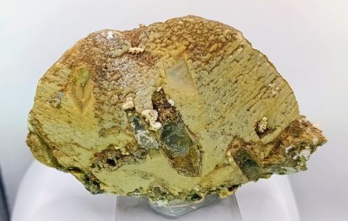 Siderita.<br />Minas da Panasqueira, Aldeia de São Francisco de Assis, Covilhã, Castelo Branco, Cova da Beira, Región Centro, Portugal<br />14x12 cm<br /> (Autor: AntonioJesus)