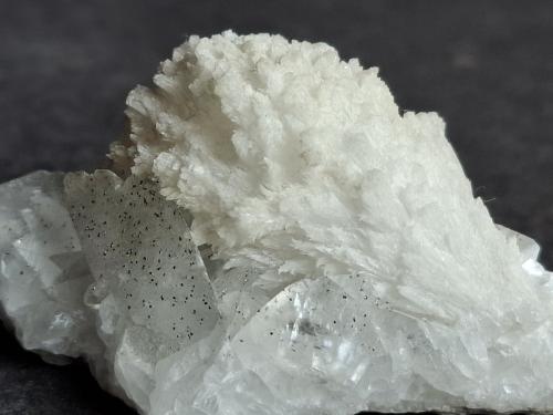 Strontianite, Calcite, Pyrite<br />Cantera Readymix (Cantera Hellbach), Beckum, Münsterland, Renania del Norte-Westfalia/Nordrhein-Westfalen, Alemania<br />5 x 2,5 cm<br /> (Author: Volkmar Stingl)