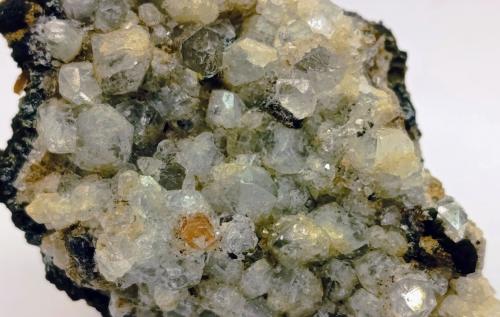 Topacio y cuarzo (variedad hialino)<br />Minas da Panasqueira, Aldeia de São Francisco de Assis, Covilhã, Castelo Branco, Cova da Beira, Región Centro, Portugal<br />7x5 cm<br /> (Autor: AntonioJesus)