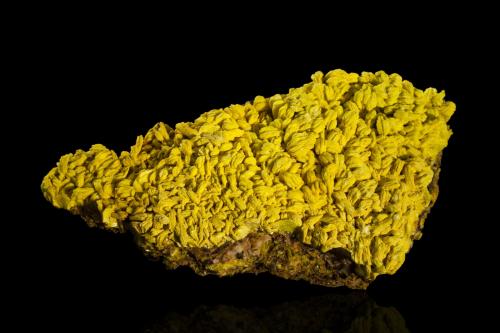 Meta-autunite<br />Margnac II Mine, Compreignac, Bellac, Haute-Vienne Department, Nouvelle-Aquitaine, France<br />12 x 6.5 x 3.5 cm / main crystal: 0.6 cm<br /> (Author: MIM Museum)