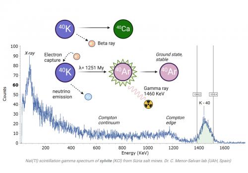 Análisis pro espectrometría gamma de la silvita de Sùria, mostrando la emisión radiactiva del potasio-40 (Autor: Cesar M. Salvan)