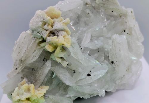 Barita, calcita, calcopirita y fluorita.<br />Mina Emilio, filón Obdulia, zona minera Caravia, La Rubiera, Loroñe, Colunga, Comarca de la Sidra, Principado de Asturias (Asturias), España<br />13x10 cm.<br /> (Autor: AntonioJesus)