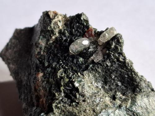 Fluorapatite, Grossular, Chlorite (Group)<br />Becchi delle Curbassere, Val d'Ala, Valles Lanzo (Valli di Lanzo), Provincia Ciudad metropolitana de Turín, Piamonte (Piemonte), Italia<br />4,5 x 3 cm<br /> (Author: Volkmar Stingl)