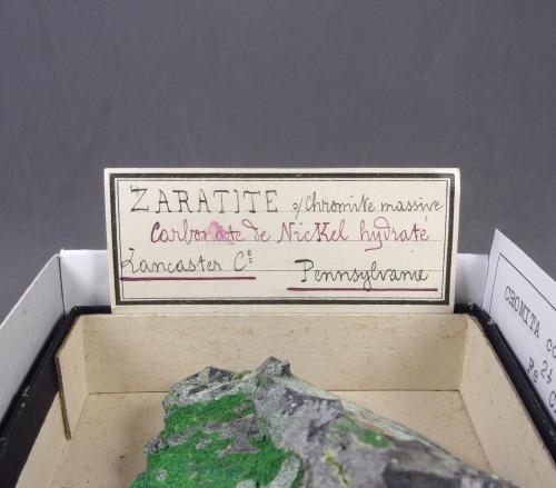 _Etiqueta Deyrolle.<br /><br /><br /> (Autor: J. G. Alcolea)